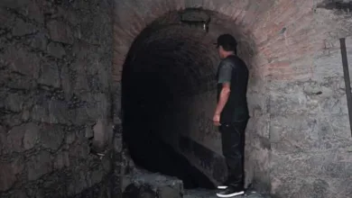 Los secretos de Guadalajara 8 Los secretos de Guadalajara