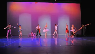 Muestra de ballet clásico en México 17 Muestra de ballet clásico en México