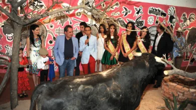 Museo de la Cultura Taurina en Aguascalientes: Historia de la tauromaquia