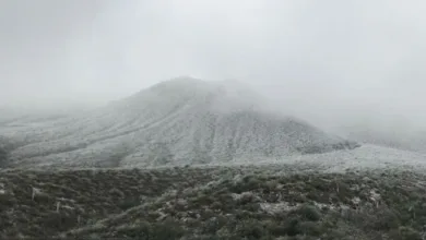 Nevadas en Nuevo León