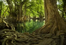 Origen de los ríos y lagos en la mitología mexicana 5 Origen de los ríos y lagos en la mitología mexicana