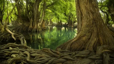 Origen de los ríos y lagos en la mitología mexicana 1 Origen de los ríos y lagos en la mitología mexicana