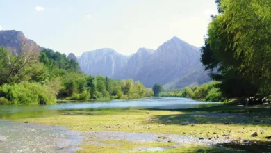 Patrimonio natural amenazado de México 11 Patrimonio natural amenazado de México