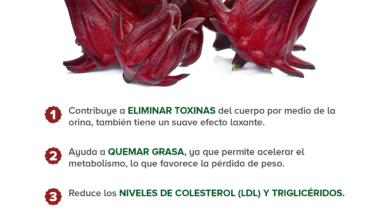 Propiedades de la jamaica 1 Propiedades de la jamaica