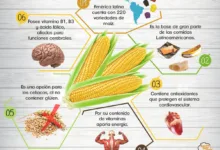 Propiedades del maíz 16 Propiedades del maíz