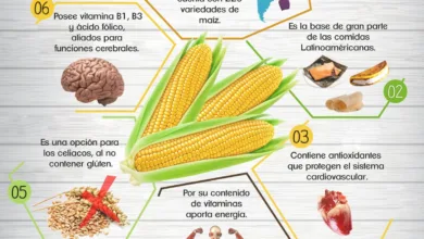 Propiedades del maíz