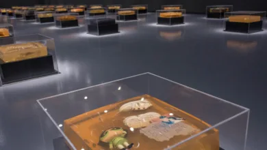 Relicarios del Museo de las Intervenciones 14 Relicarios del Museo de las Intervenciones