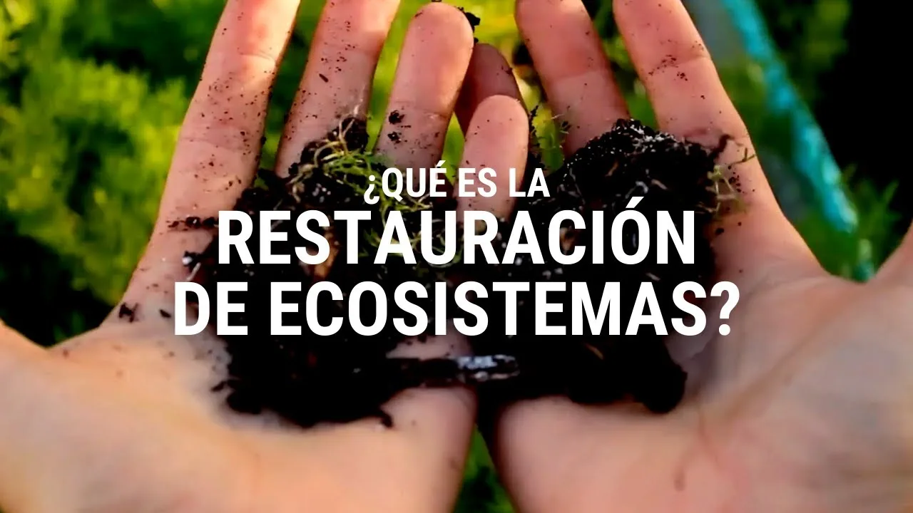 Restauración de ecosistemas 1 Restauración de ecosistemas