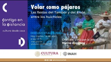 Revuelta de los Huicholes 8 Revuelta de los Huicholes