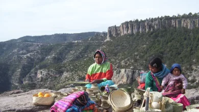 Revuelta de los Tarahumaras 11 Revuelta de los Tarahumaras