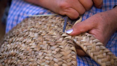 Técnicas de tejido en palma 10 Técnicas de tejido en palma