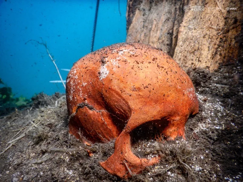 Tesoros naturales subacuáticos mexicanos 1 Tesoros naturales subacuáticos mexicanos