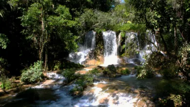 Turismo de Aventura en las Selvas Mexicanas 7 Turismo de Aventura en las Selvas Mexicanas