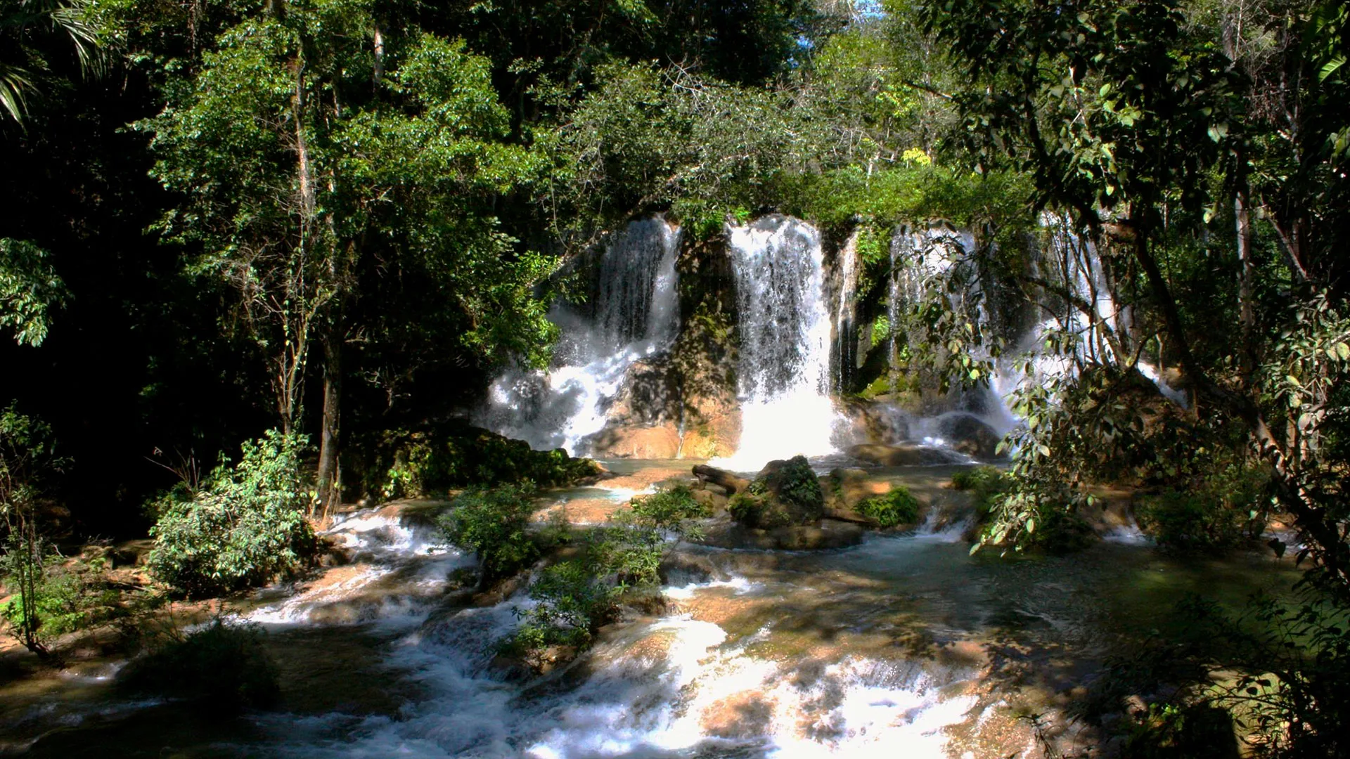 Turismo de Aventura en las Selvas Mexicanas 1 Turismo de Aventura en las Selvas Mexicanas