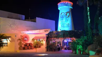 Vida nocturna en Los Cabos
