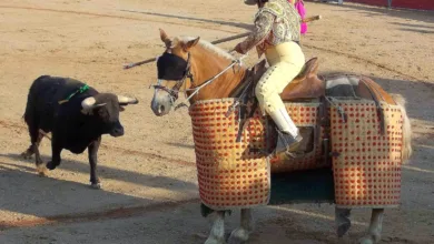 Vivencias de un vidriero en Guadalajara 9 Vivencias de un vidriero en Guadalajara